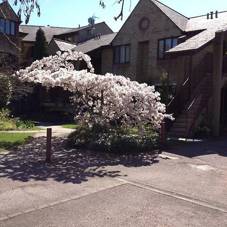 Chamberlin Court Lejlighed Cambridge Eksteriør billede